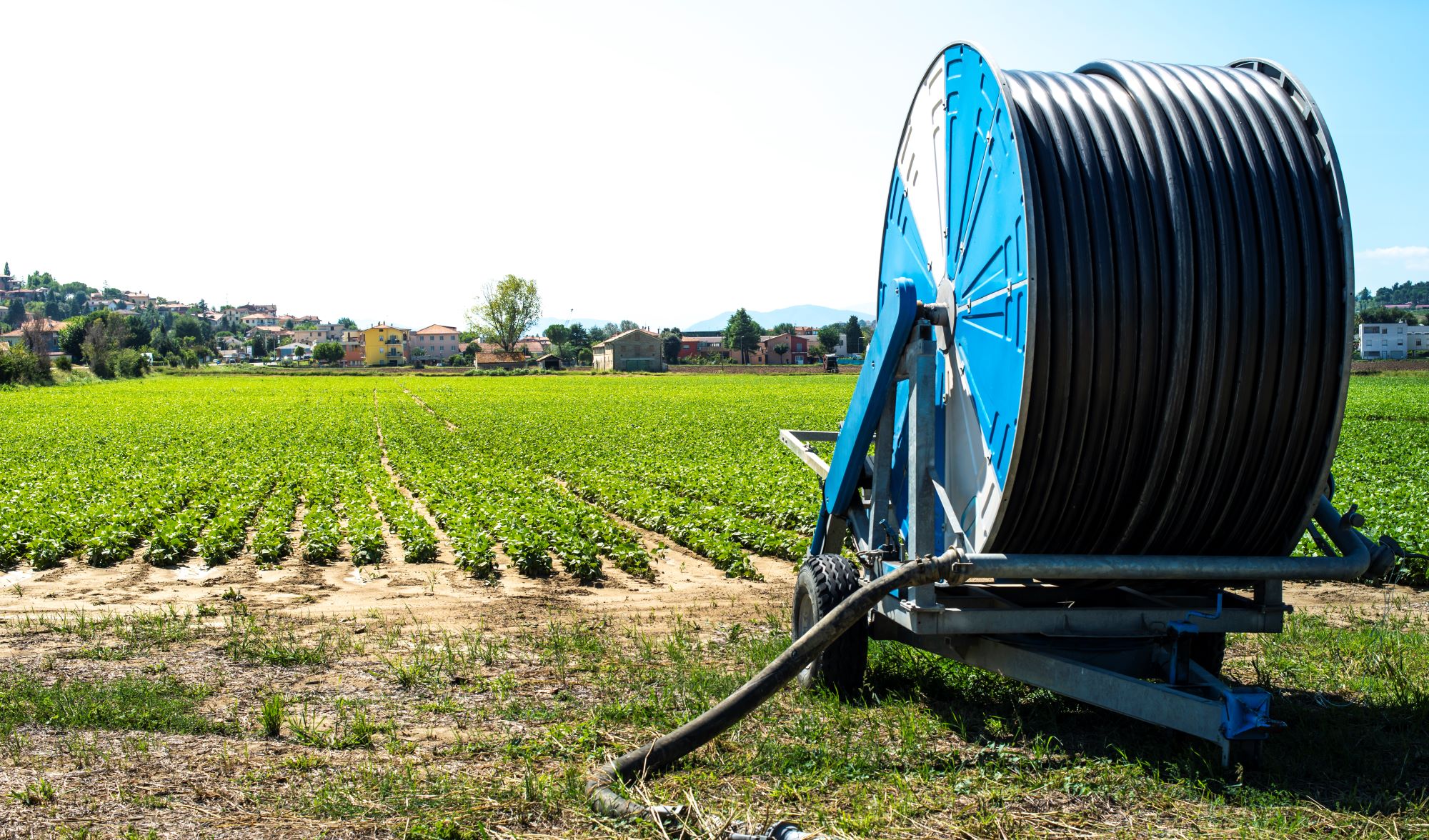 Irrigation System Maintenance | 