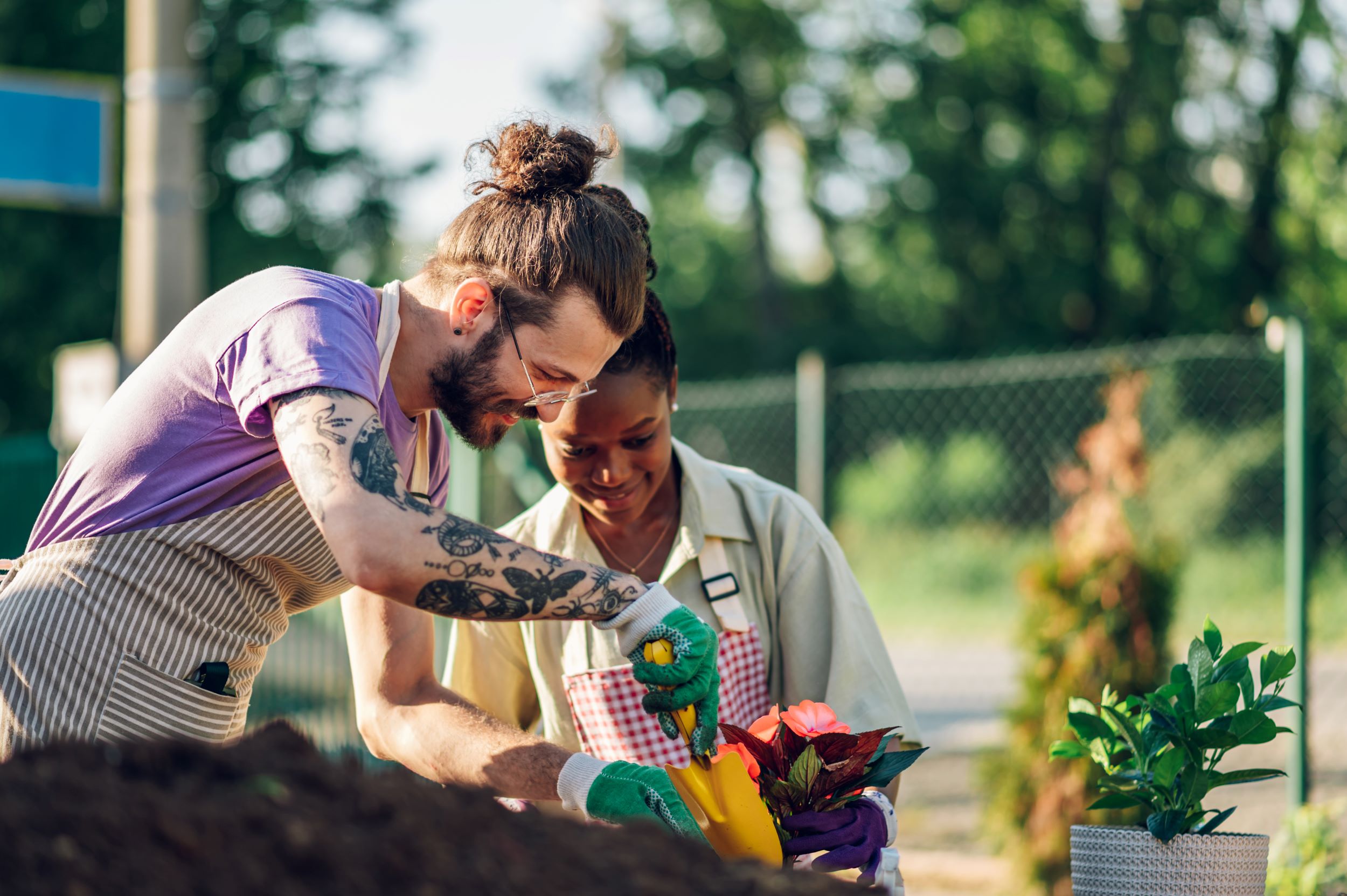 The Ultimate Lawn Care Calendar: Seasonal Tips for a Beautiful Yard | 