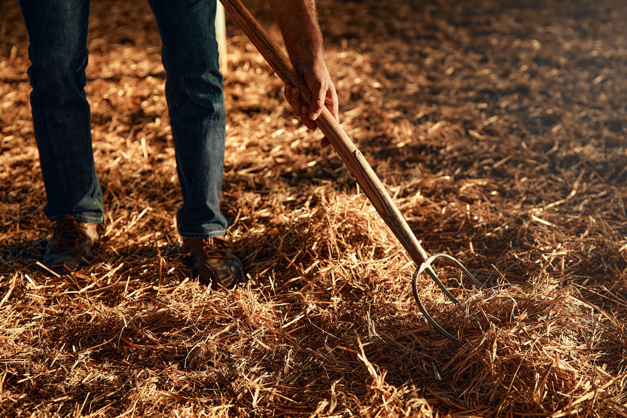 Mulching | 