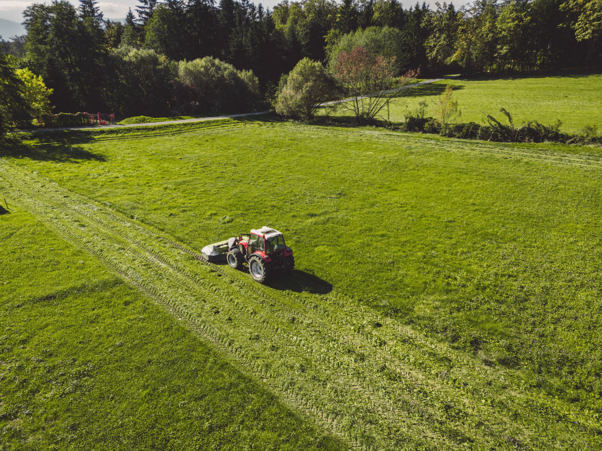 Organic Lawn Care | 