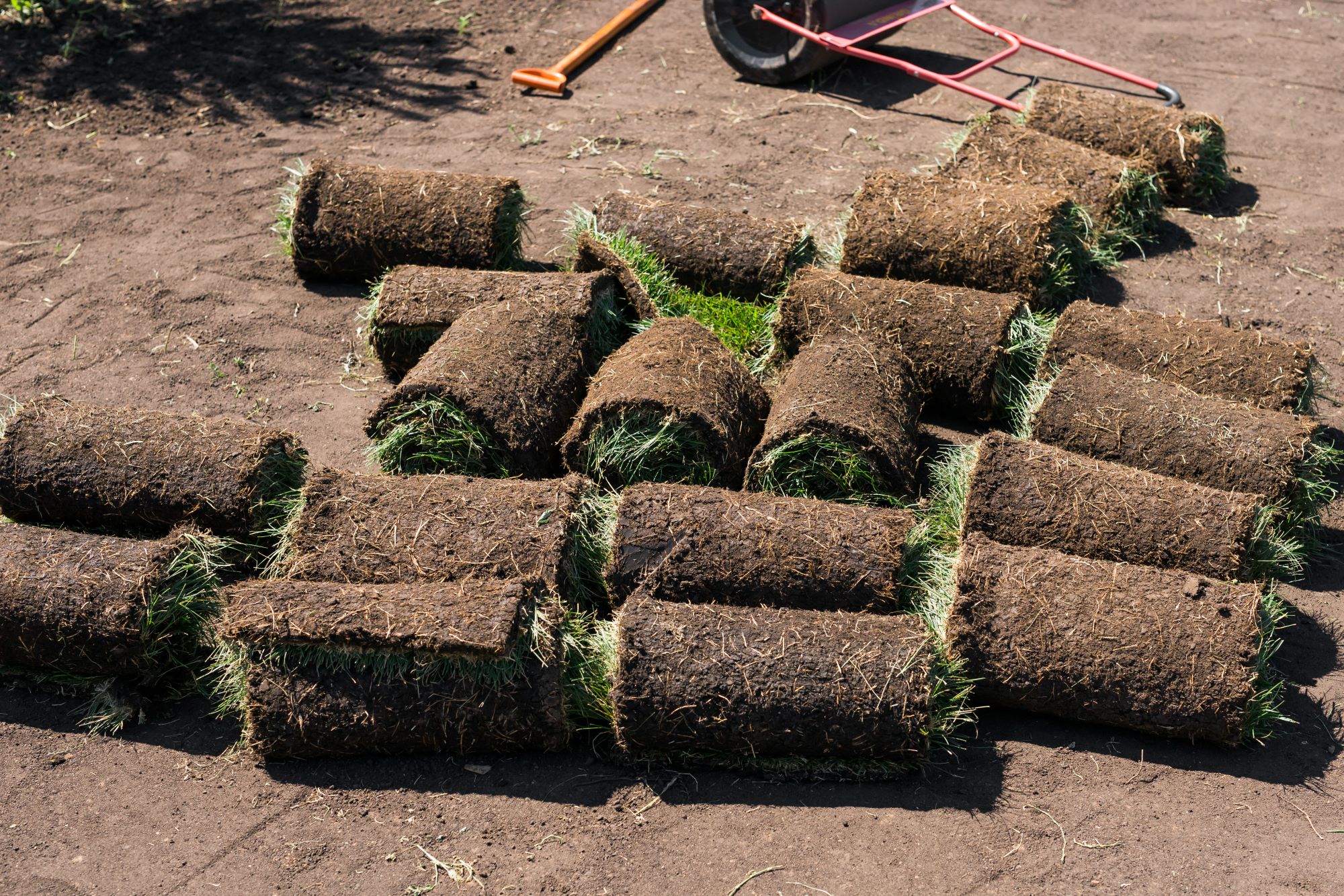 Sod Installation | 