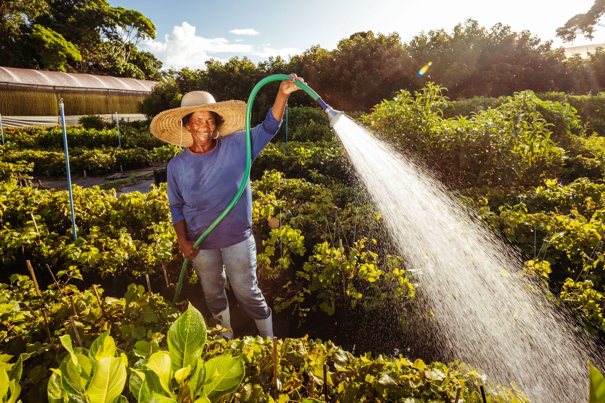 Watering Services | 